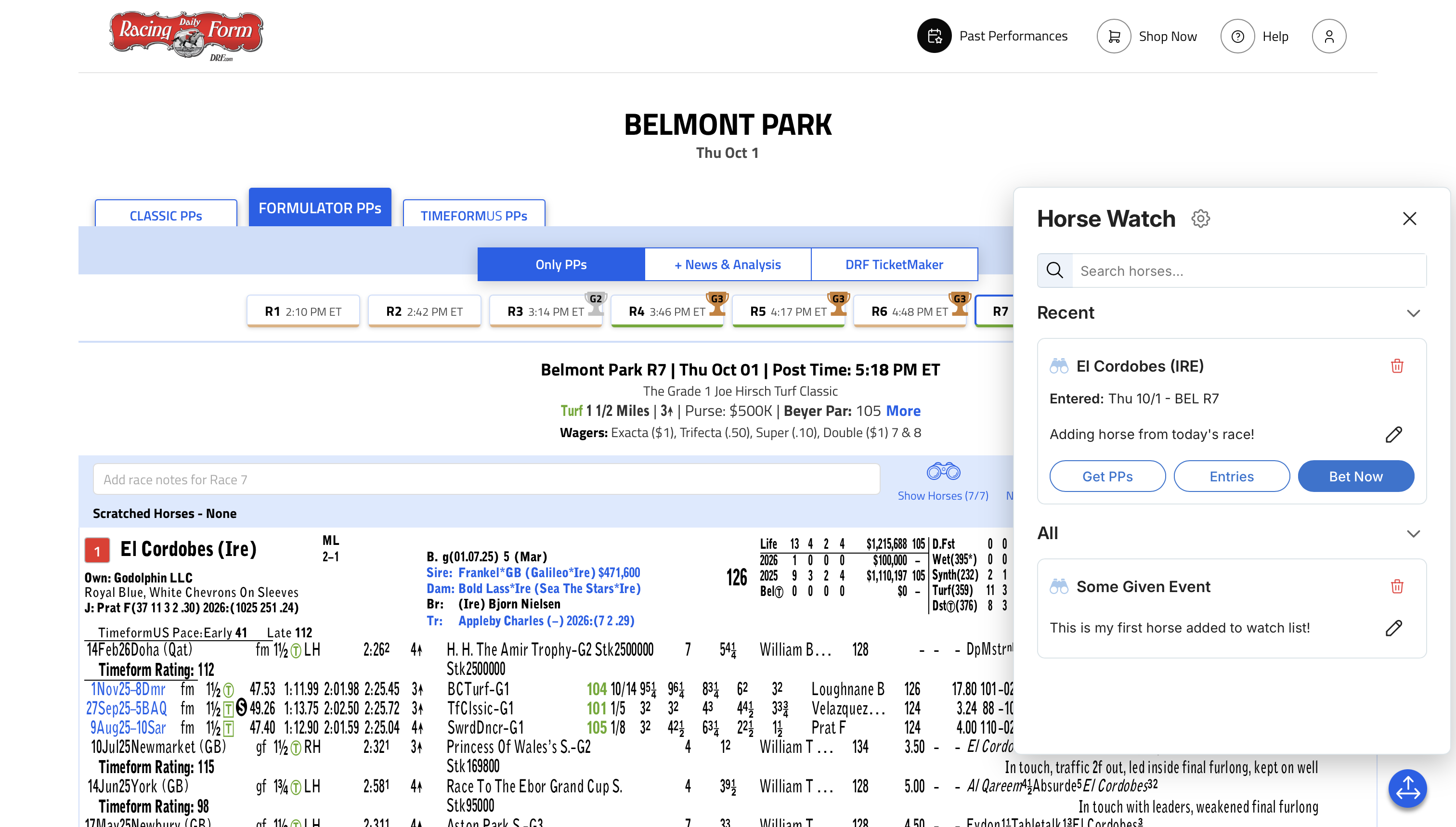 Horse Watch widget